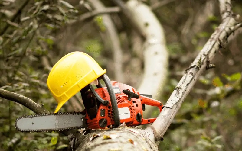 chainsaw and safety helmet