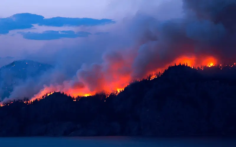 forest fire in the hills