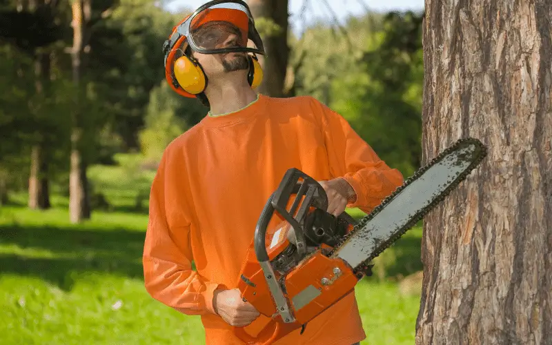 tree service man with chainsaw